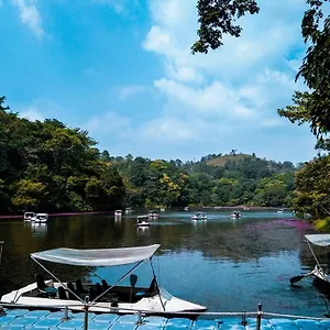 wayanad-misty-mountain.kerala-hotels.net/
